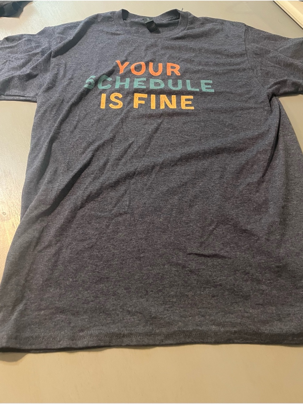 "Your Schedule Is Fine" Graphic T-Shirt Gildan Counselor Dark Gray Size M
